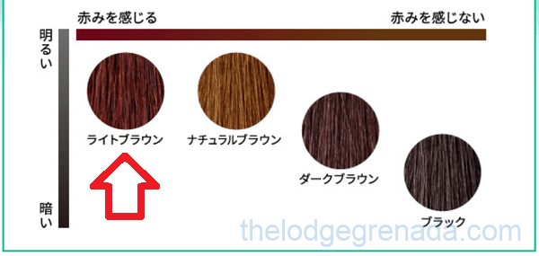 利尻カラーシャンプーのライトブラウン