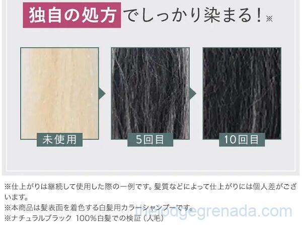 リシリアフレルの染まり方