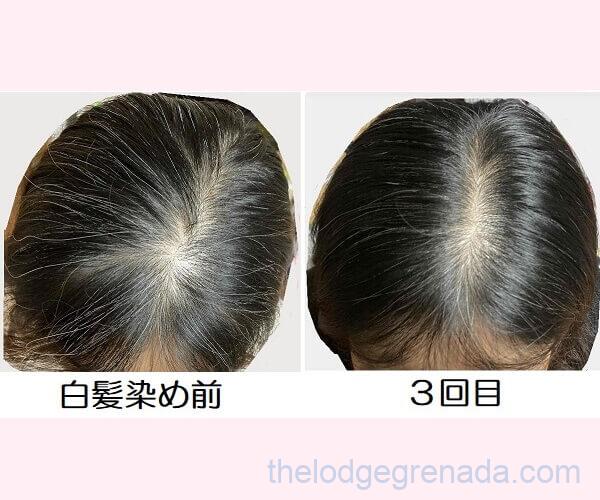 ルプルプ エッセンス結果