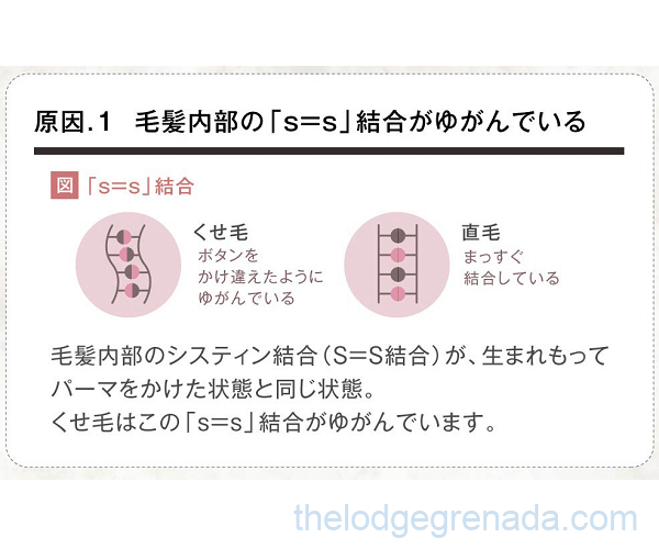 くせ毛の原因1