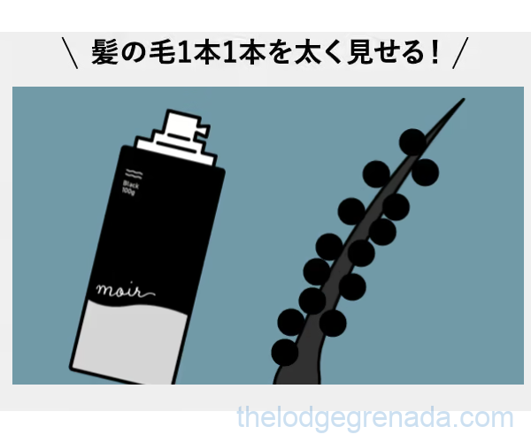 moirスププレーの特長1